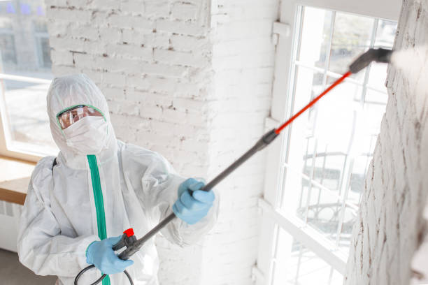 Best Environmental Consulting for Mold Prevention  in Greenville, MI