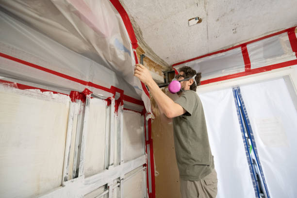 Best Mold Damage Restoration  in Greenville, MI