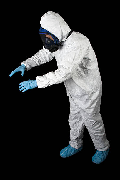 Best Black Mold Removal  in Greenville, MI