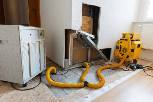Best Water Damage & Mold Remediation  in Greenville, MI